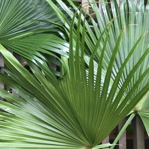 Meet your Posher, Love